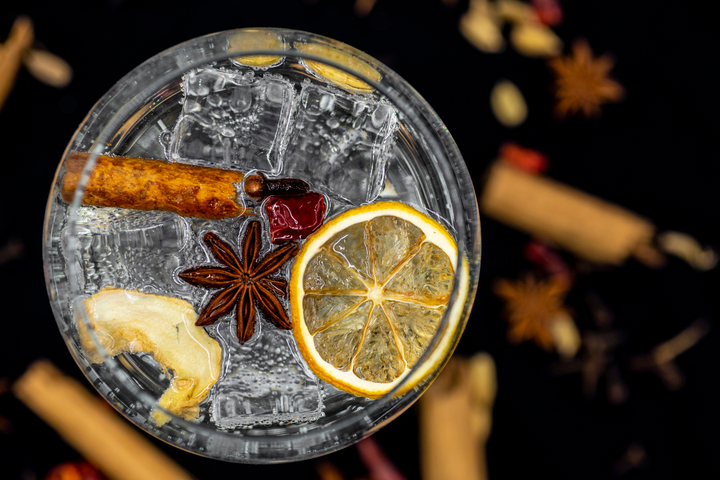 Glass of gin with ice and garnish.