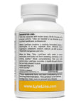 LyteCaps Electrolytes Capsules - 1 Bottle (30 Servings)